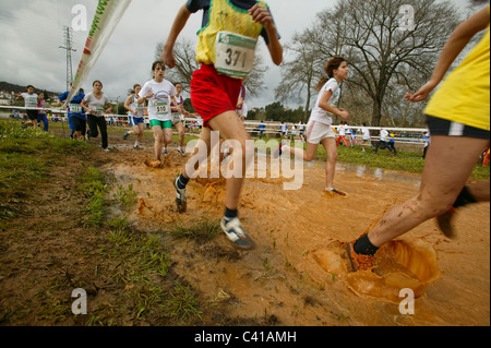 Course cross-country Banque D'Images