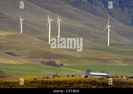 Projet d'éolienne de production d'électricité Biggs, Oregon Banque D'Images