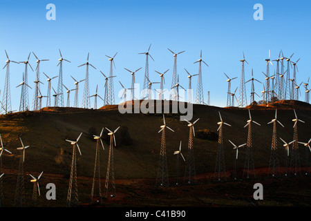 Les éoliennes de production d'électricité à Tehachapi, CA Banque D'Images