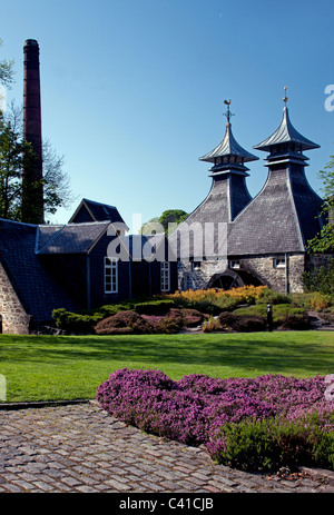 Tourné au printemps de la Distillerie de Strathisla, avec fleurs de printemps, dans la région de Keith, Banffshire, Ecosse (Moray) Banque D'Images