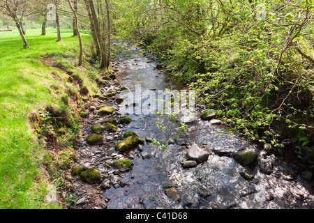 Exmoor - Horner le printemps sur l'eau s'écoulant dans le village de Horner, Somerset, England UK Banque D'Images