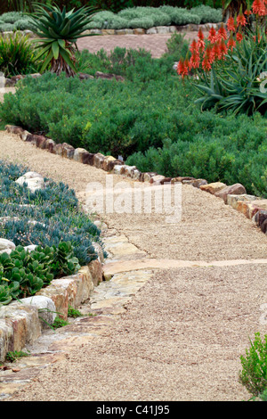 Un chemin de Kirstenbosch national botanical gardens, Cape Town, Afrique du Sud. Banque D'Images