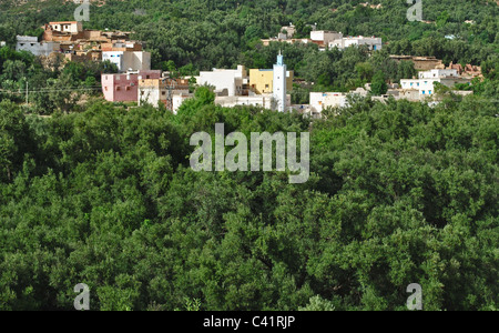 Village isolé dans un bois près de Immouzzer, Maroc Banque D'Images