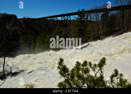 L'un des sept chutes d'eau qui fait rage sur la rivière Maskinongé au Parc des Chutes de sainte Ursule Mauricie Québec Banque D'Images