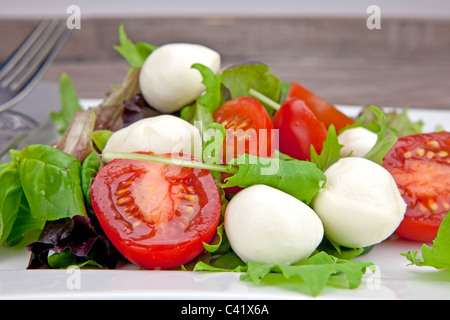 Tomate et mozzarella avec de la laitue sur une assiette blanche Banque D'Images