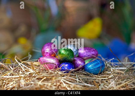 Les oeufs colorés dans un nid de paille Banque D'Images