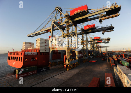 L'Uruguay Montevideo , port de conteneurs du terminal de Katoen Natie et TCP-conteneurs de la compagnie maritime allemande Hambourg Sued Banque D'Images