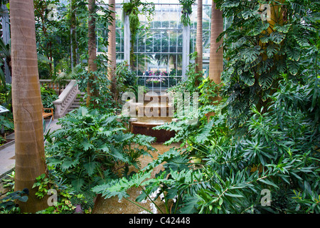 United States Botanic Garden Conservatory, Washington DC Banque D'Images