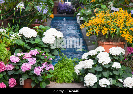 United States Botanic Garden Conservatory, Washington DC Banque D'Images