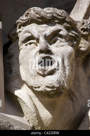 Gargoyle sur façade de la cathédrale de Salisbury Wiltshire, UK Banque D'Images