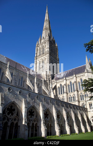 La cathédrale de Salisbury Wiltshire, UK Banque D'Images