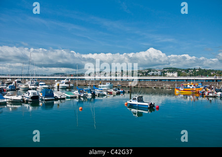 Bateaux & Yachts dans la marina du port de Torquay Torquay Devon, Angleterre Banque D'Images