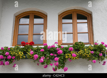 Fenêtres et boîte à fleurs à Hallstatt Autriche Banque D'Images