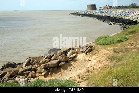 Rochers de défenses côtières protéger la tour martello East Lane, Bawdsey, Suffolk, Angleterre Banque D'Images