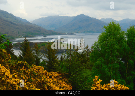 À la recherche sur le Loch Hourn, Western Highlands, Ecosse Banque D'Images