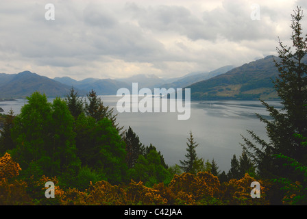 À la recherche sur le Loch Hourn, Western Highlands, Ecosse Banque D'Images