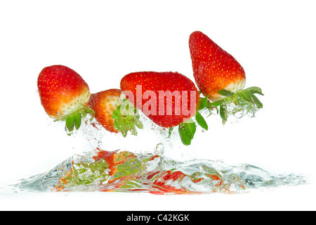 Des fraises fraîches est tombé dans l'eau avec splash sur fonds blancs Banque D'Images