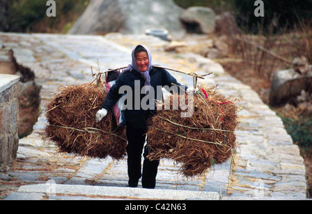 Femme âgée farmer à Qingdao District, Chine Banque D'Images