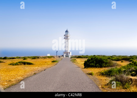 Le phare de Cap de Barbaria Formentera Baléares à golden meadow grass blue sky Banque D'Images