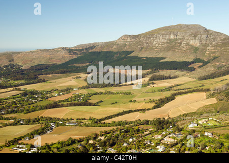 Vue aérienne de Constantia et Tokai vignes sur les pentes de la montagne de l'Œil de l'éléphant à Cape Town, Afrique du Sud. Banque D'Images