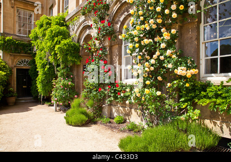 A l'angle de la main quadrangle de Worcester College, Université d'Oxford, Oxfordshire, Angleterre, Royaume-Uni, Grande Bretagne Banque D'Images