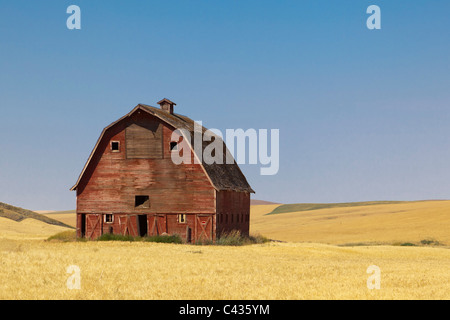 Grange rouge dans les champs de blé de la Palouse Washington USA Banque D'Images