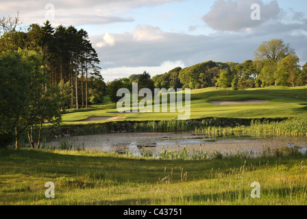 Vue de la 6ème trou sur tulfarris golf un parcours de championnat à Wicklow Irlande Banque D'Images