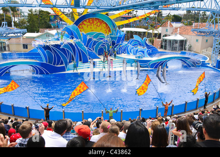 Le spectacle des dauphins, Blue Horizons à SeaWorld. Banque D'Images