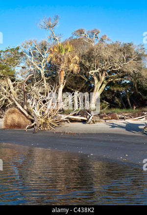 Chriskirkphotography.net Boneyard beach Banque D'Images