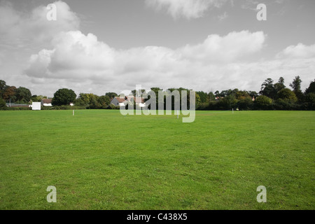 Terrain de cricket Banque D'Images