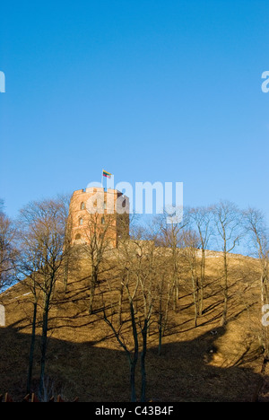 Le château de Gediminas à Vilnius Lituanie avec drapeau sur le toit de l'immense colline. Tricolor - jaune, vert, rouge. Banque D'Images