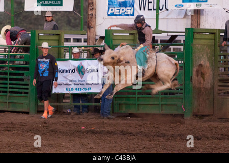 Rodeo à Benton County Fair, Corvallis, Oregon, USA 2009 Banque D'Images