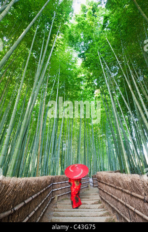 L'Asie, Japon, Arashiyama, Kyoto, Honshu, Adashino Nembutsu-ji, Nembutsu-ji, Temple, temples, bambou, forêt, les forêts, les Gree Banque D'Images