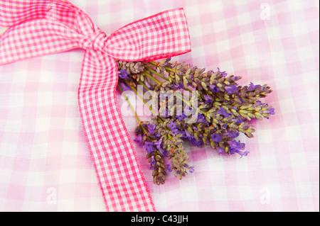 Lavande bouquet avec ruban rose sur joyeuse Banque D'Images