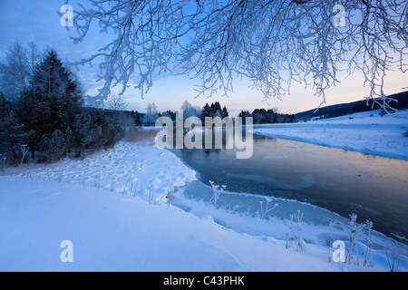 Lac de Joux, en Suisse, dans le canton de Vaud, Vaud, lac, lac, glace, lumière du matin, neige, givre, froid, hiver, arbre Banque D'Images