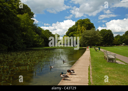 La digue sur le seigle, High Wycombe, Buckinghamshire, Royaume-Uni Banque D'Images