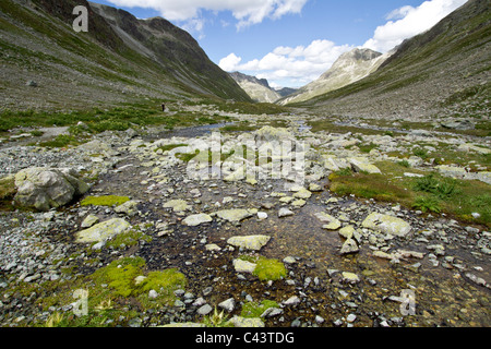 Alpes, Bever, Bevertal, Engadine, Grisons, Grisons, Piz Nair, Suisse, Europe, l'été, l'Korsonek, Saint-Moritz, Suvretta, Suvret Banque D'Images