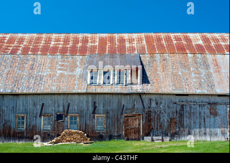 Ancienne grange en bois patiné rouille avec toit en tôle, dans la région de Charlevoix, Province de Québec, Canada. Banque D'Images