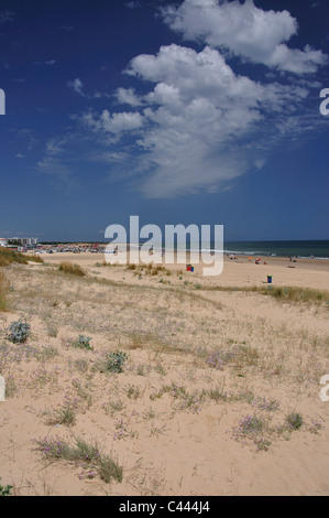 La plage et les dunes, Monte Gordo, Vila Real de Santo António, Municipalité du district de Faro, Algarve, Portugal Banque D'Images