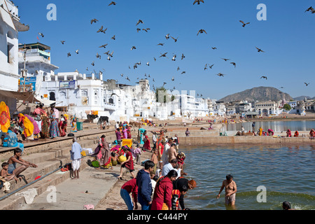 Pèlerins hindous se baigner dans l'eau sacrée de la lac Pushkar. Le Rajasthan. L'Inde Banque D'Images