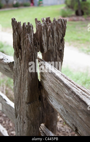 Détail d'une clôture en bois Banque D'Images