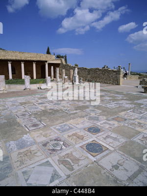 Carthage, marbre, mosaïque, monument, maison de vacances, villa romaine, tourisme, Voyage, Tunis, Tunisie, Afrique, vacances, Banque D'Images