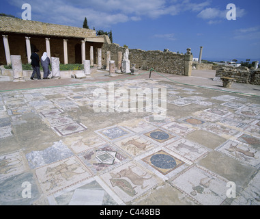 Carthage, marbre, mosaïque, monument, maison de vacances, villa romaine, tourisme, Voyage, Tunis, Tunisie, Afrique, vacances, Banque D'Images