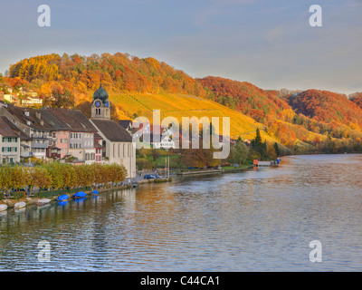 À Eglisau, automne, rivière, débit, haute, le niveau de l'eau, l'eau, du Rhin à Eglisau, canton de Zurich, Suisse Banque D'Images