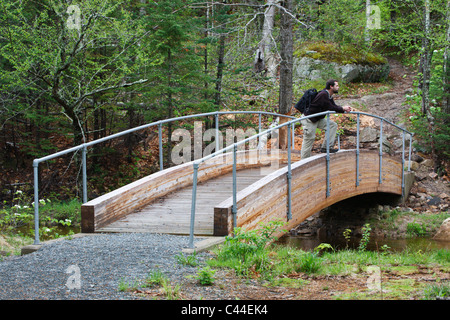 Sentier des Appalaches (Webster Cliff Trail ) à Crawford Notch State Park dans Hart's Location, New Hampshire ; une partie des Montagnes Blanches Banque D'Images