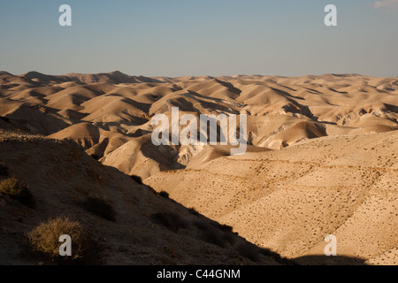 Coteaux du désert près de Wadi Qelt dans le désert de la vallée du Jourdain en Cisjordanie. Banque D'Images