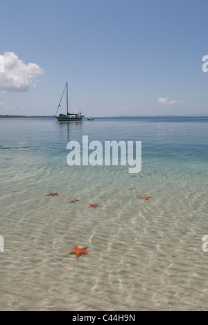 Starfish Beach, l'Île de Colon, Bocas del Toro, PANAMA Banque D'Images