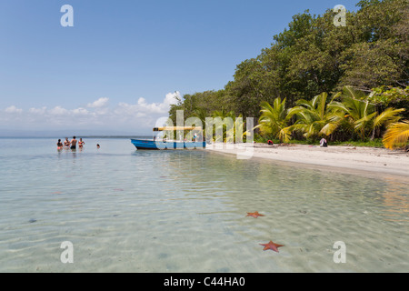 Starfish Beach, l'Île de Colon, Bocas del Toro, PANAMA Banque D'Images