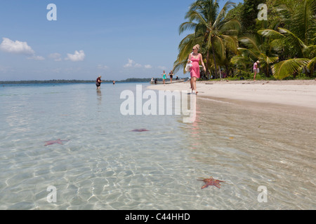 Starfish Beach, l'Île de Colon, Bocas del Toro, PANAMA Banque D'Images