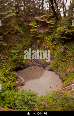 MENDOCINO County, Californie, USA - doline près de la côte. Banque D'Images